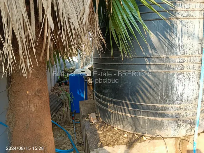 Flat/Apartment to Rent in Avenues
