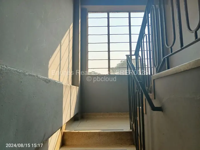 Flat/Apartment to Rent in Avenues