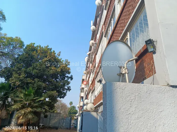 Flat/Apartment to Rent in Avenues