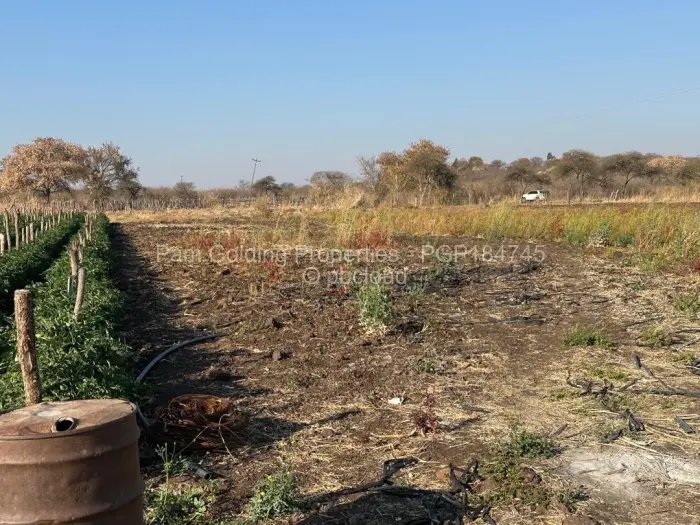 Farm/Plot for Sale in Nyamandlovu, Bulawayo