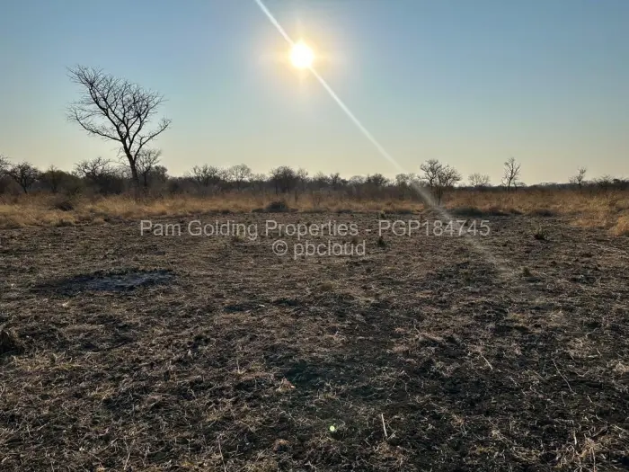 Farm/Plot for Sale in Nyamandlovu, Bulawayo