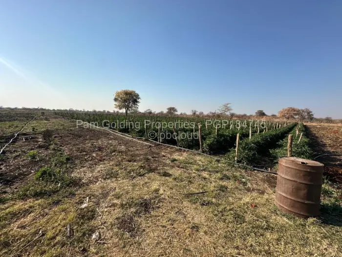 Farm/Plot for Sale in Nyamandlovu, Bulawayo