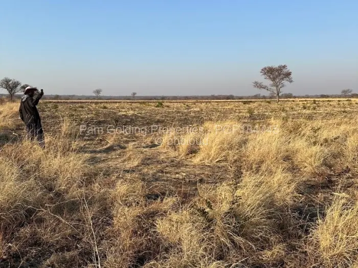 Farm/Plot for Sale in Nyamandlovu, Bulawayo