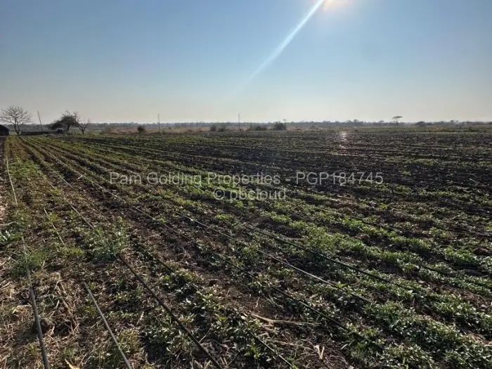 Farm for Sale in Nyamandlovu