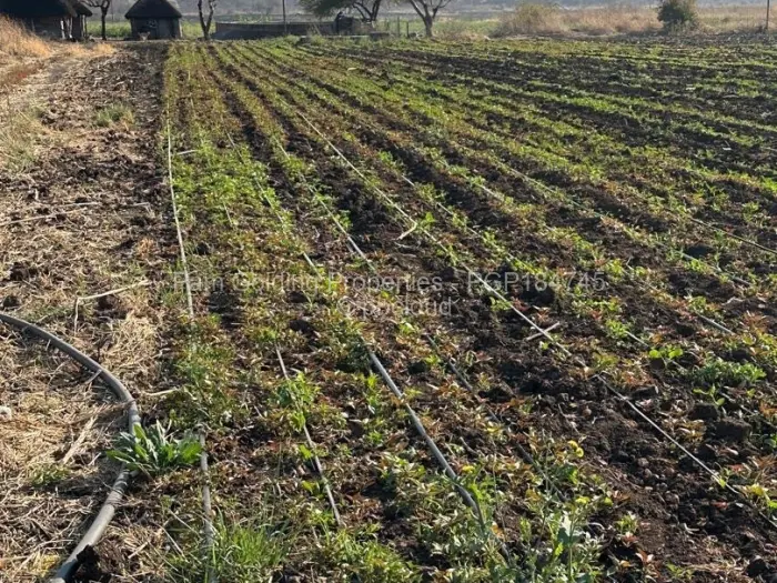 Farm/Plot for Sale in Nyamandlovu, Bulawayo
