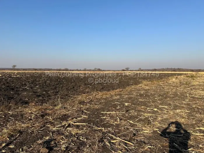 Farm/Plot for Sale in Nyamandlovu, Bulawayo