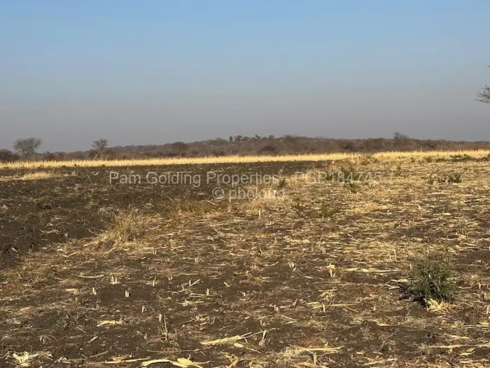 Farm/Plot for Sale in Nyamandlovu, Bulawayo