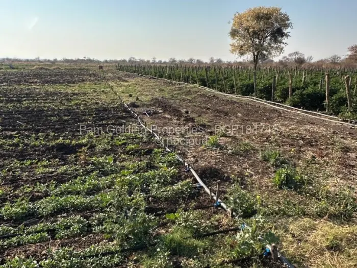 Farm/Plot for Sale in Nyamandlovu, Bulawayo