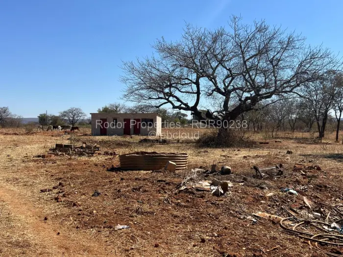 Farm/Plot for Sale in Esigodini, Umzingwane