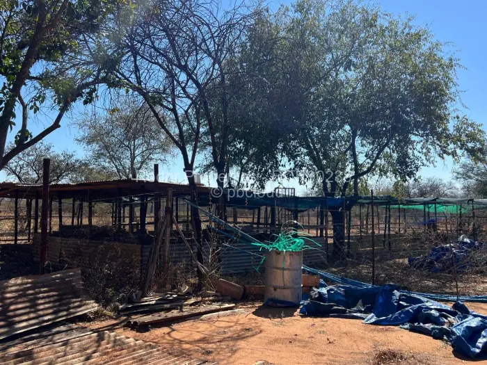 Farm/Plot for Sale in Esigodini, Umzingwane