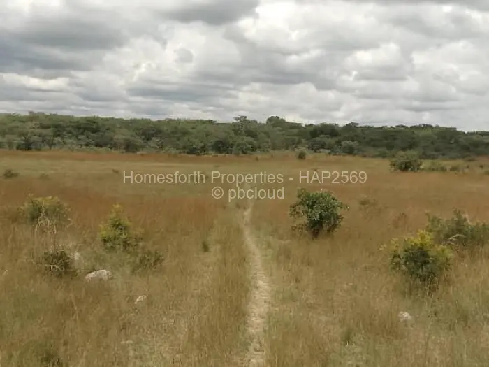Farm for Sale in Mvuma