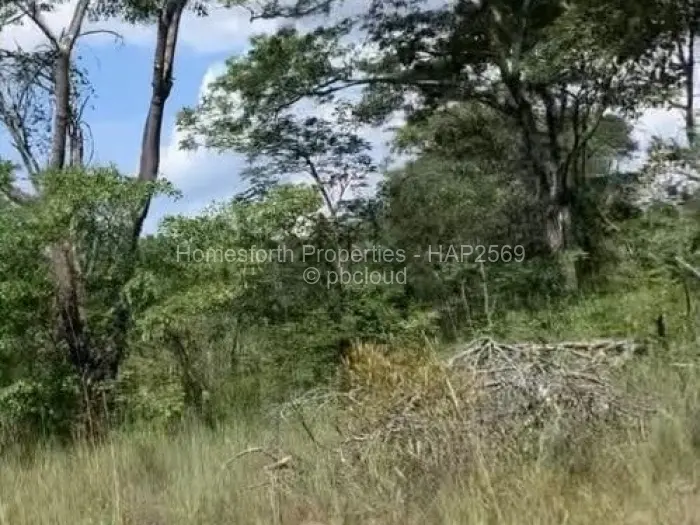 Farm/Plot for Sale in Mvuma, Mvuma