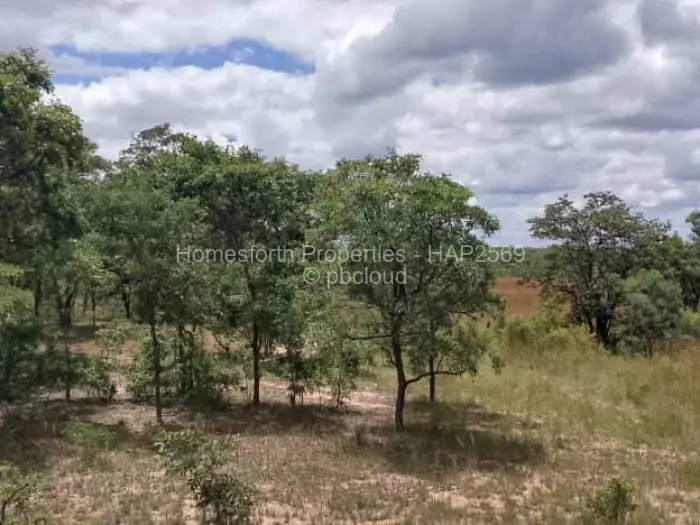 Farm/Plot for Sale in Mvuma, Mvuma