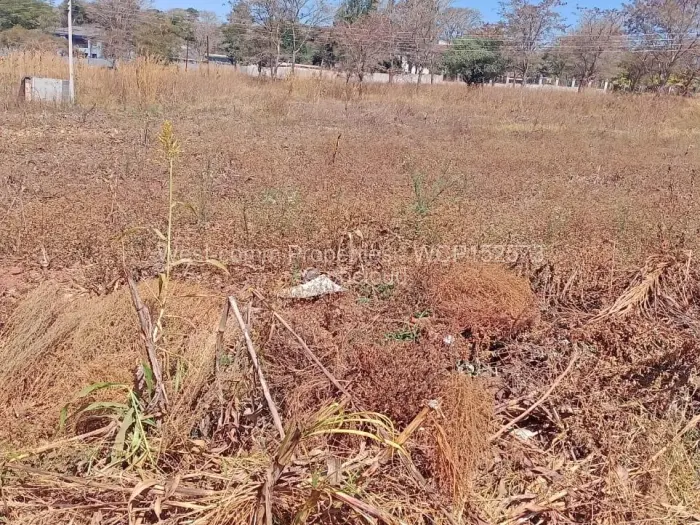 Stand for Sale in Adelaide Park, Harare