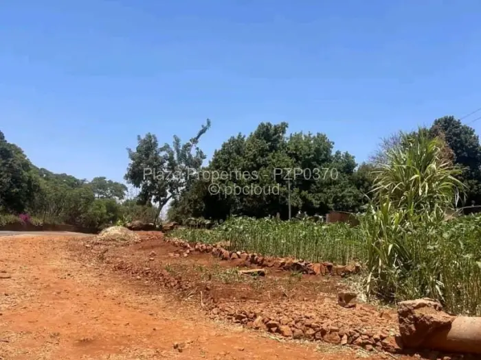 Farm/Plot for Sale in Borrowdale, Harare