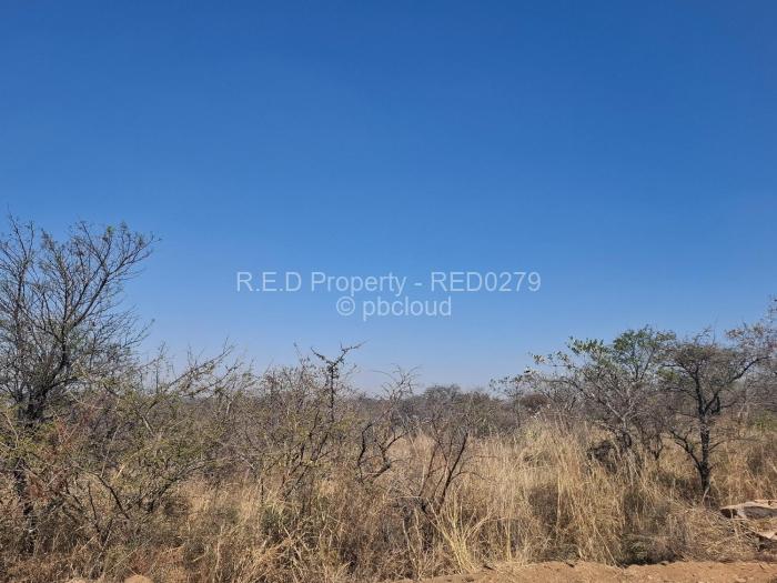 Commercial Stand for Sale in Burnside, Bulawayo