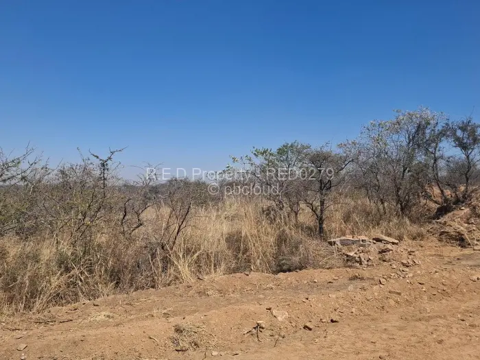 Commercial Stand for Sale in Burnside, Bulawayo