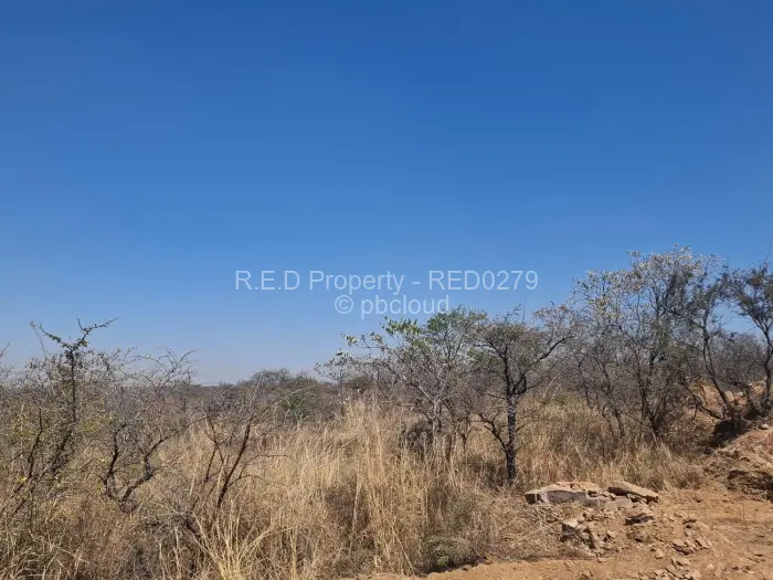 Commercial Stand for Sale in Burnside, Bulawayo