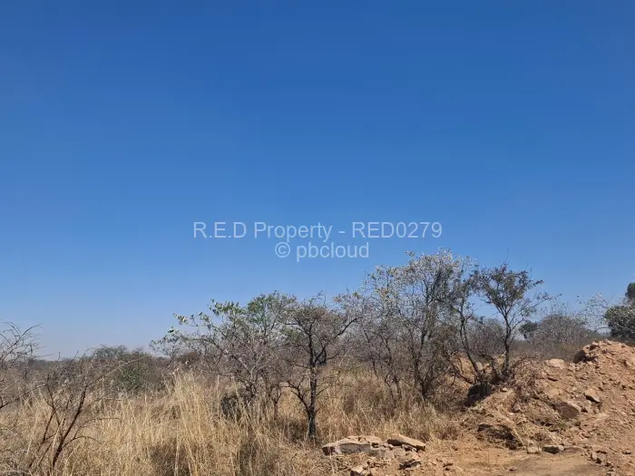 Commercial Stand for Sale in Burnside, Bulawayo