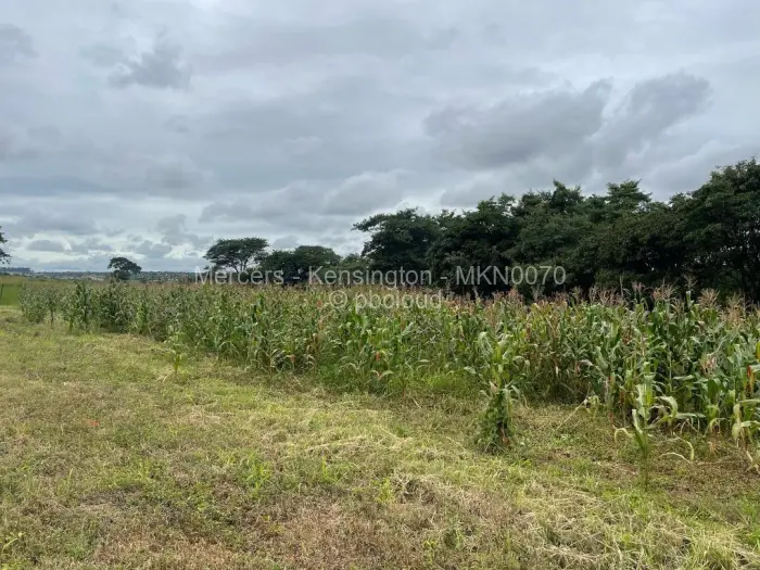 Farm/Plot for Sale in Glen Forest, Harare