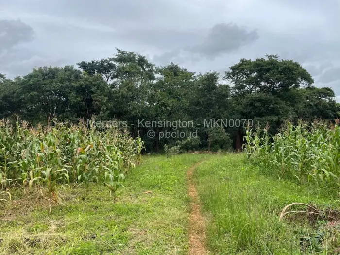 Farm/Plot for Sale in Glen Forest, Harare