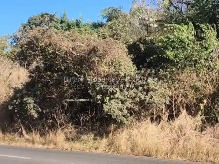 Commercial Stand for Sale in Quinnington, Harare