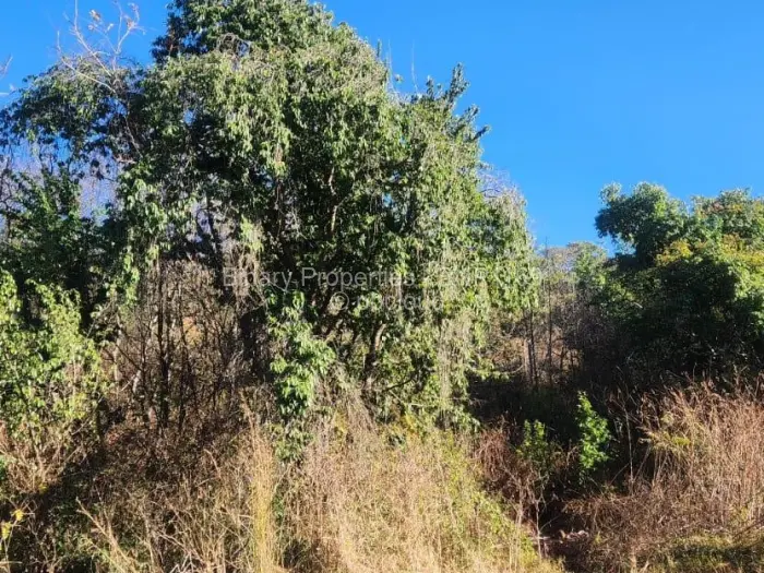 Commercial Stand for Sale in Quinnington, Harare