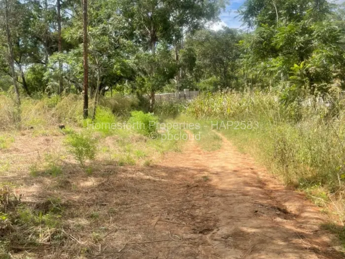 Residential Stand for Sale in Borrowdale, Harare