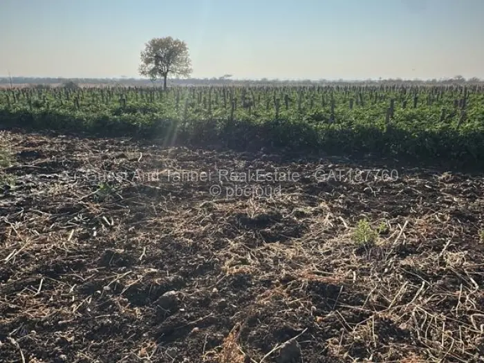 Land for Sale in Nyamandlovu, Bulawayo