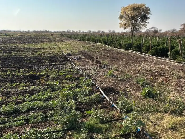 Land for Sale in Nyamandlovu, Bulawayo