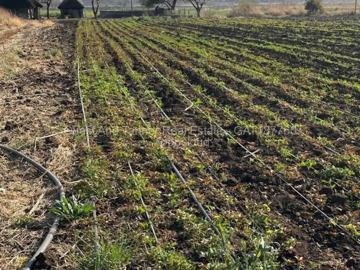 Land for Sale in Nyamandlovu, Bulawayo
