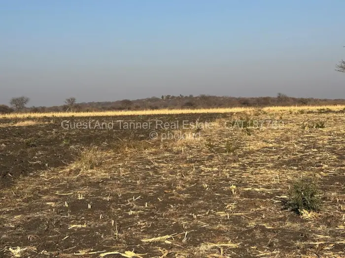 Land for Sale in Nyamandlovu, Bulawayo