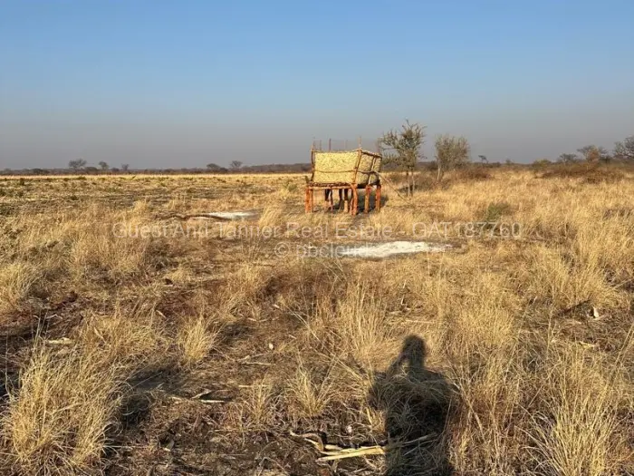 Land for Sale in Nyamandlovu, Bulawayo