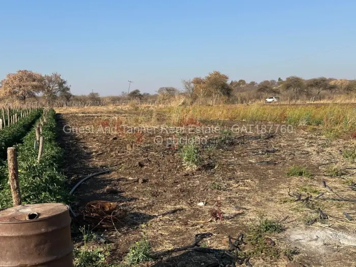Land for Sale in Nyamandlovu, Bulawayo