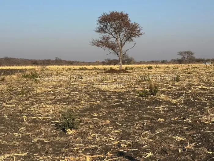 Land for Sale in Nyamandlovu, Bulawayo
