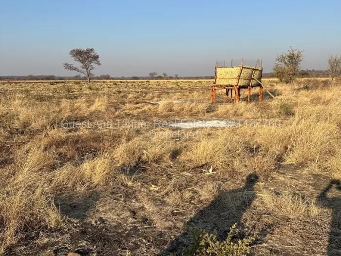 Land for Sale in Nyamandlovu, Bulawayo