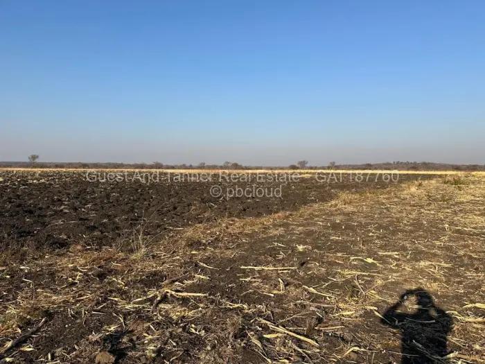 Land for Sale in Nyamandlovu, Bulawayo