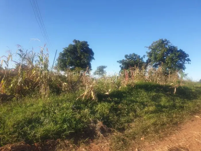 Residential Stand for Sale in Hogerty Hill, Harare