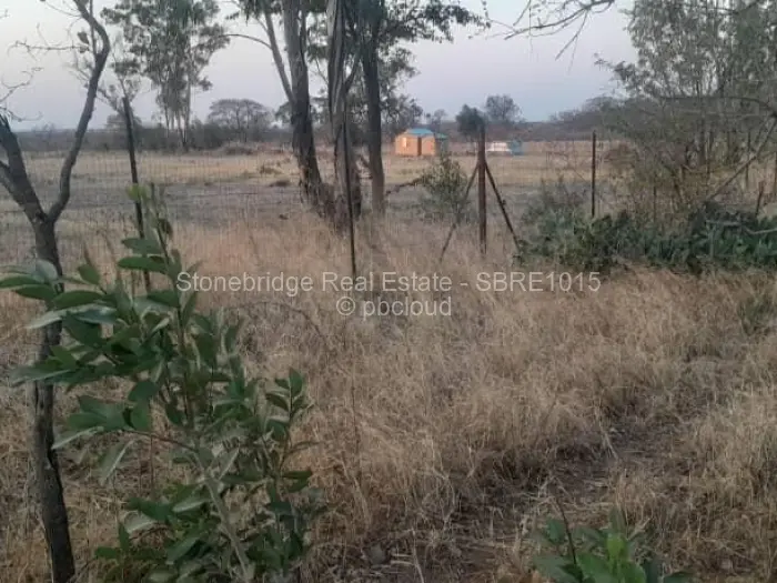 Residential Stand for Sale in Plumtree, Plumtree