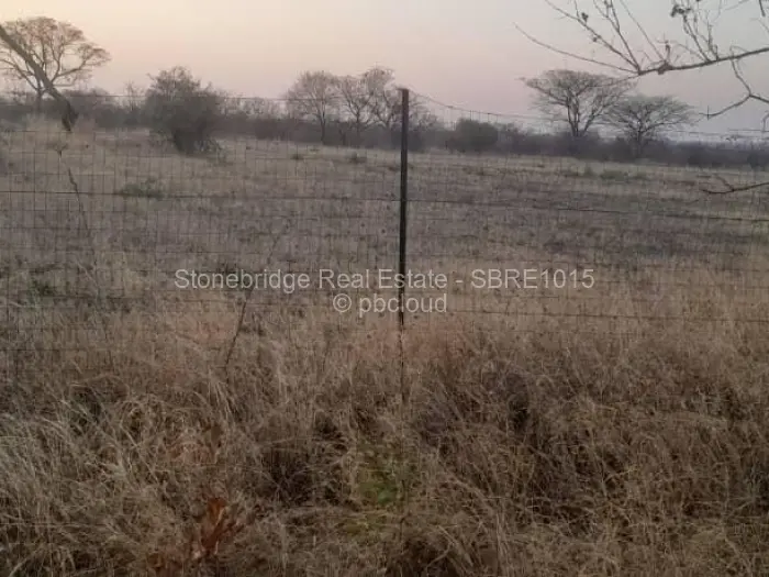 Residential Stand for Sale in Plumtree, Plumtree