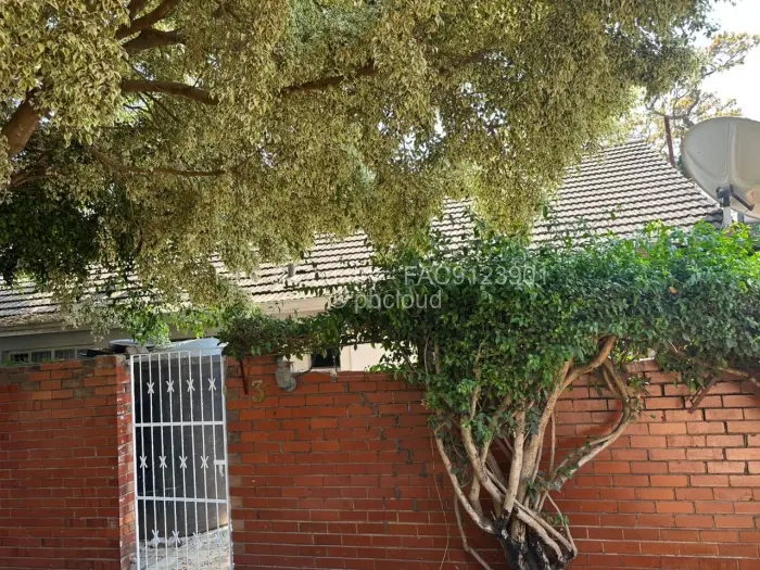 Flat/Apartment to Rent in Greendale