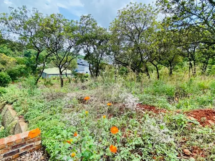 Residential Stand for Sale in Hogerty Hill, Harare