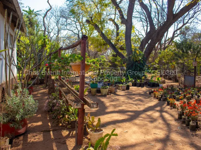 4 Bedroom House for Sale in Hillside Byo, Bulawayo