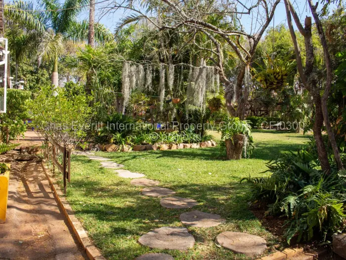 4 Bedroom House for Sale in Hillside Byo, Bulawayo