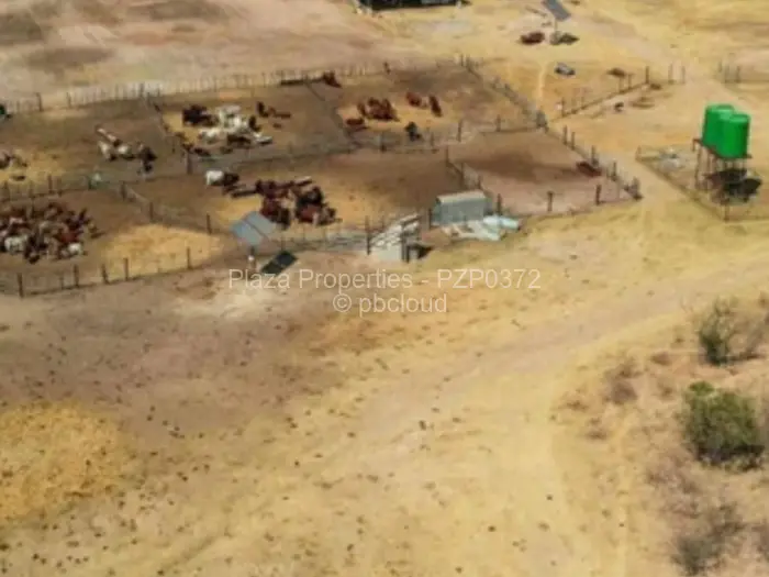 Farm/Plot for Sale in Figtree, Figtree