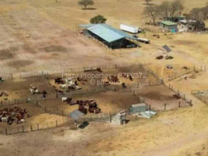 Farm/Plot for Sale in Figtree, Figtree