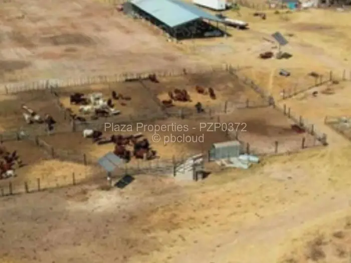 Farm/Plot for Sale in Figtree, Figtree