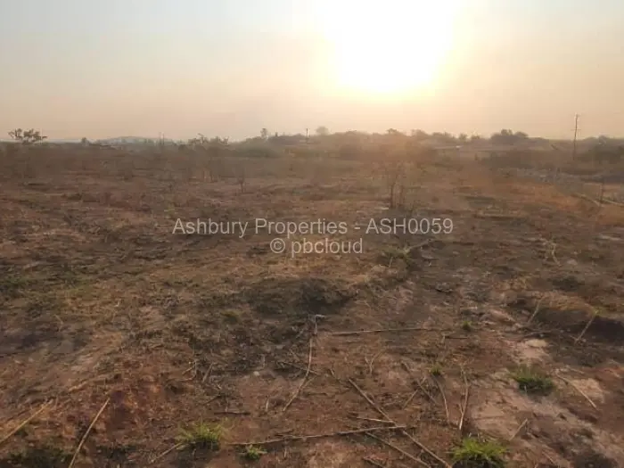 Commercial Stand for Sale in Glendale, Glendale