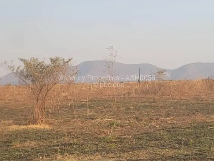 Commercial Stand for Sale in Glendale, Glendale