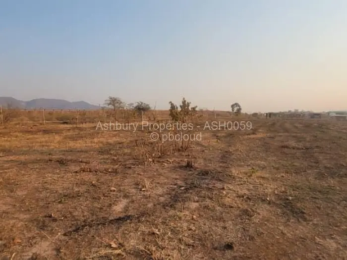 Commercial Stand for Sale in Glendale, Glendale